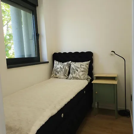 Don Dorcol * Belgrade